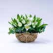 Purity Tulip Flower Baskets