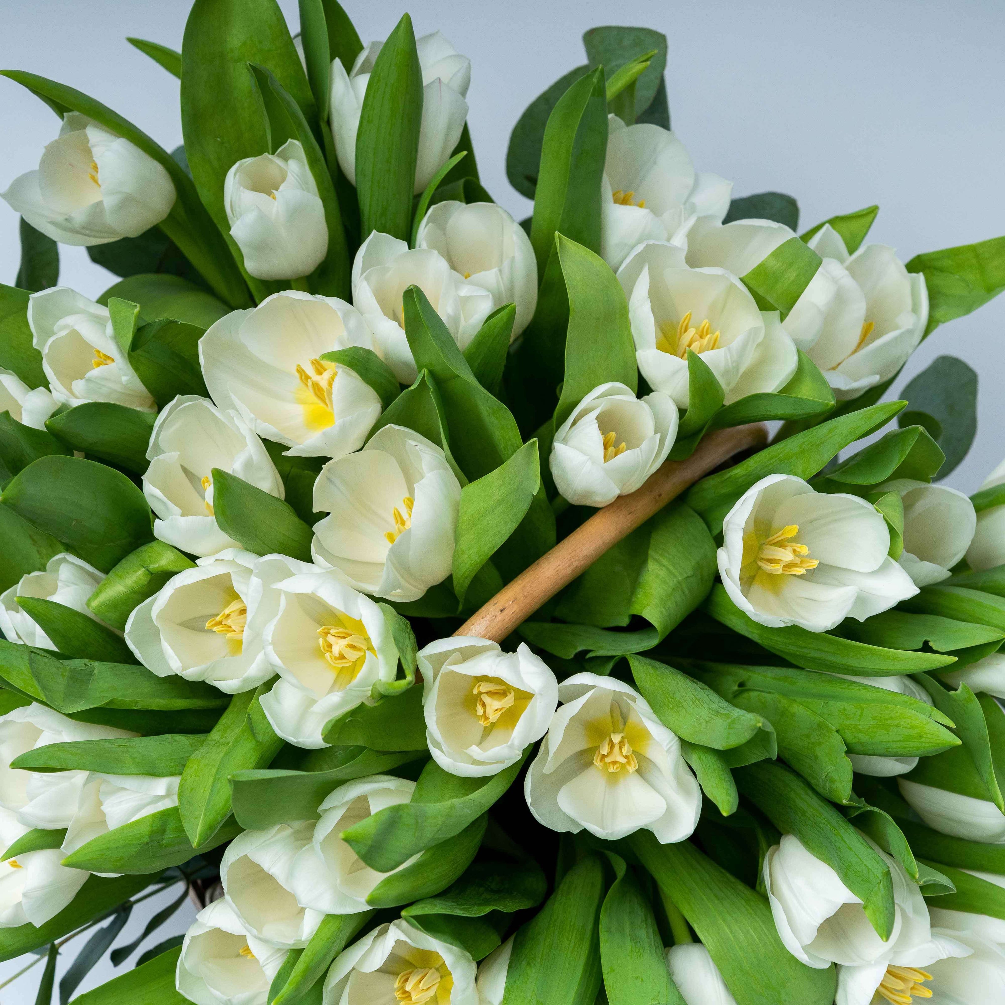 Purity Tulip Flower Baskets