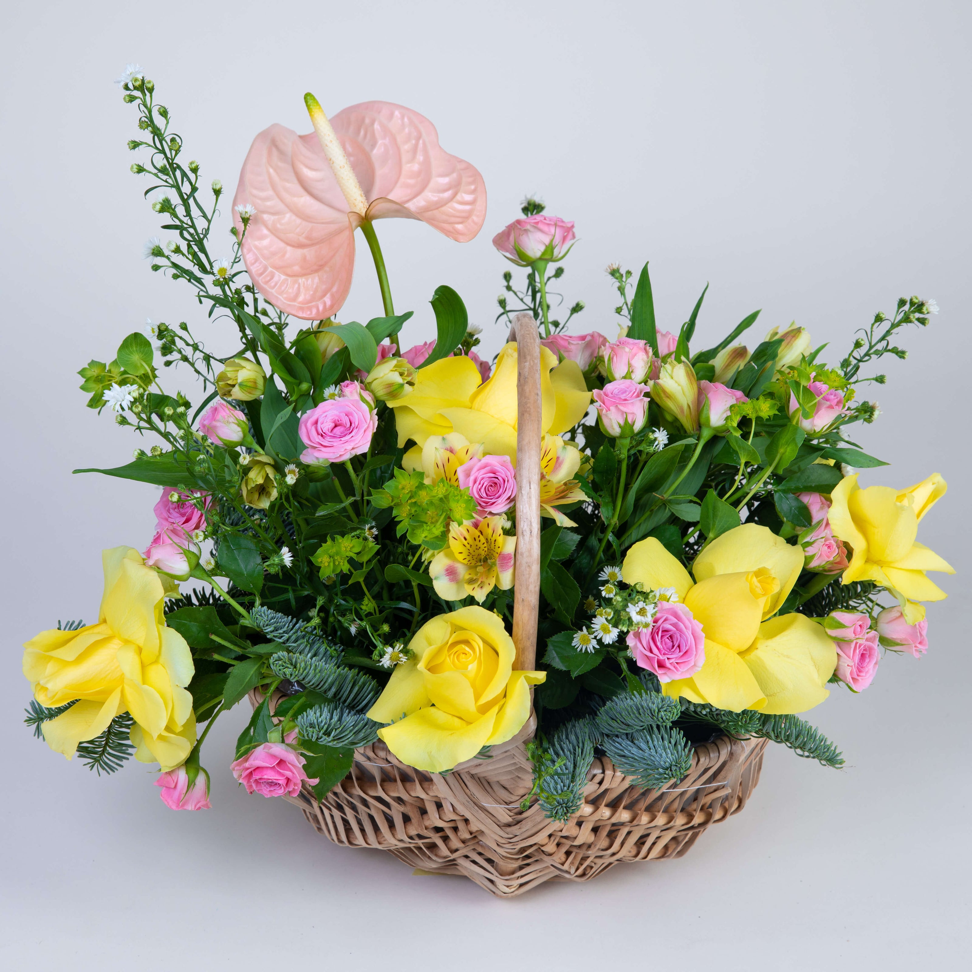 Yellow Eloise Flower Baskets