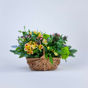 Yellow Jesse Flower Baskets