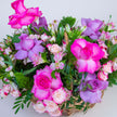 Pink Lucca Flower Baskets